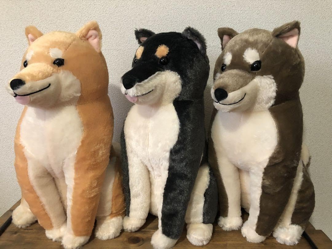 Amazon.co.jp: ほっこり柴犬 茶々ノ助 なごみ日和 BIGぬいぐるみ 全3種